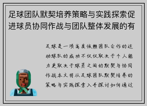 足球团队默契培养策略与实践探索促进球员协同作战与团队整体发展的有效路径