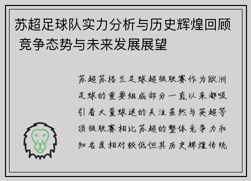 苏超足球队实力分析与历史辉煌回顾 竞争态势与未来发展展望