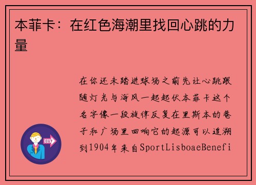 本菲卡：在红色海潮里找回心跳的力量